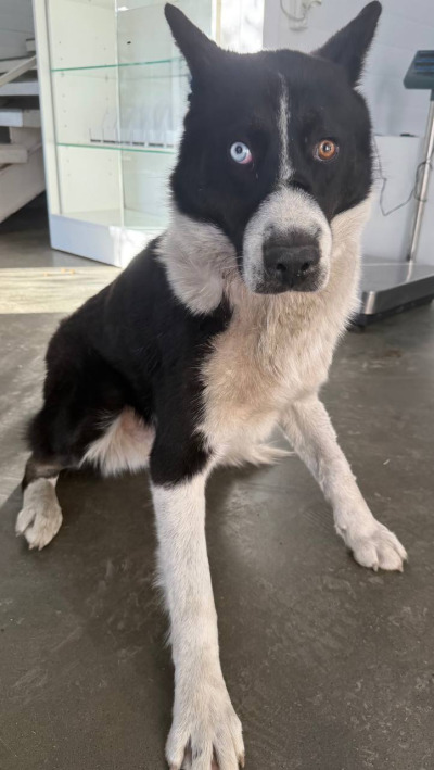 Иркутск 1003/24