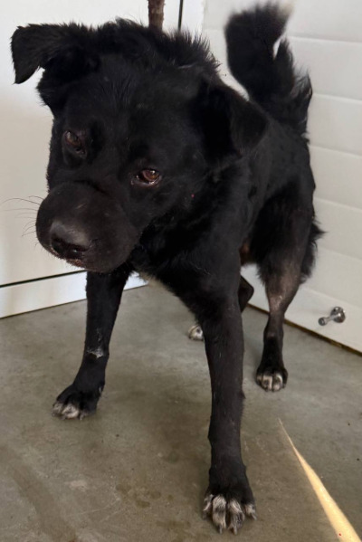 Иркутск 1004/24