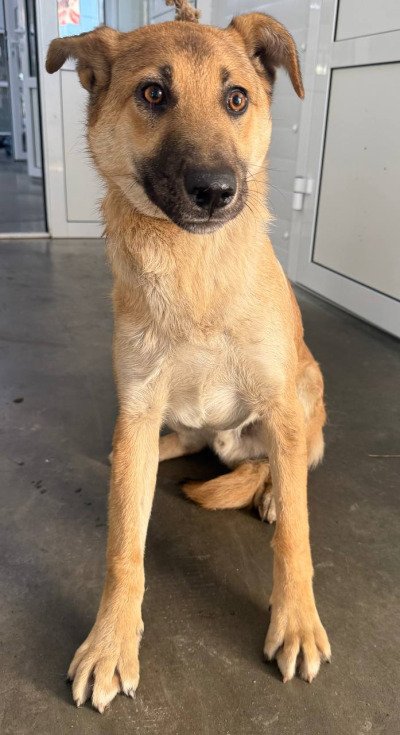 Иркутск 1005/24