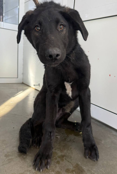 Иркутск 1006/24