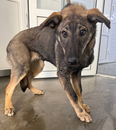 Иркутск 1007/24