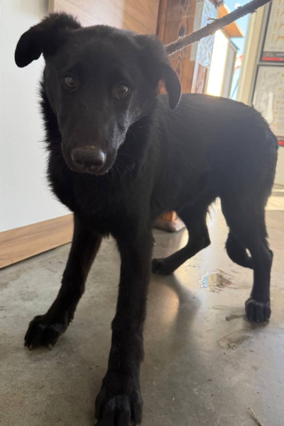 Иркутск 1008/24