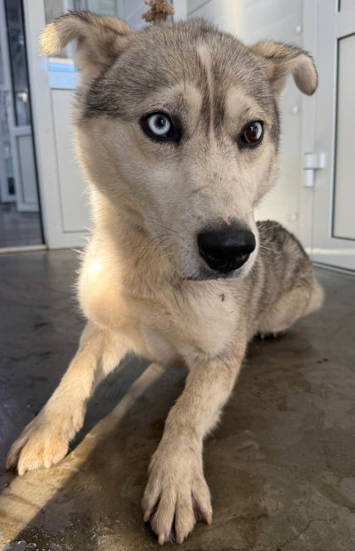 Иркутск 1009/24