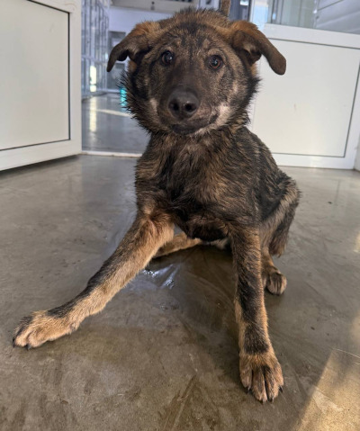 Иркутск 1010/24