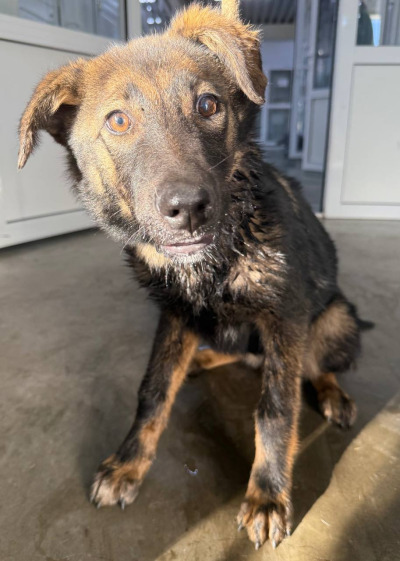 Иркутск 1011/24