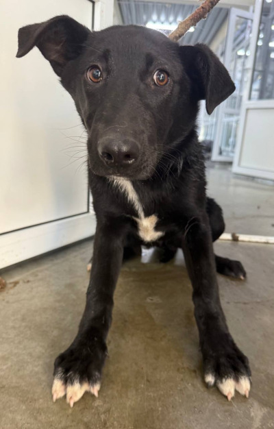 Иркутск 1012/24