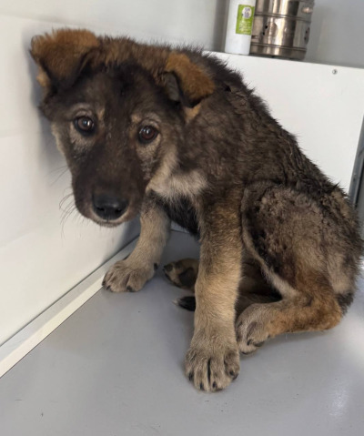 Иркутск 1013/24