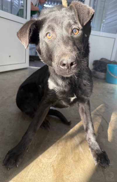 Иркутск 1014/24