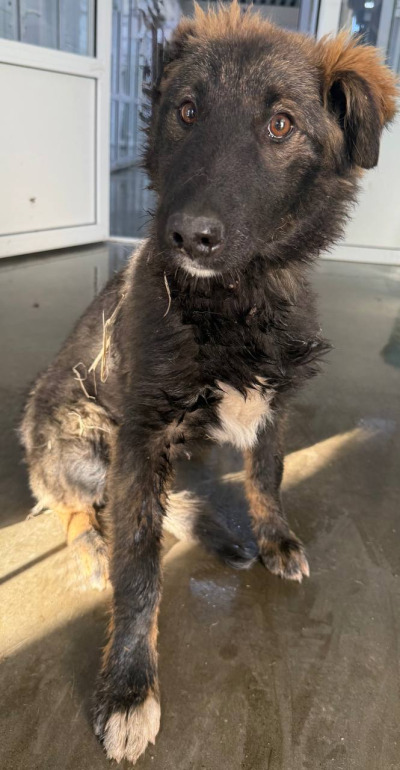 Иркутск 1015/24