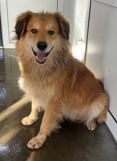 Иркутск 1016/24