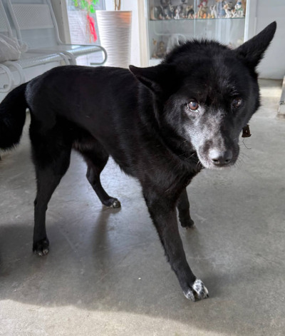 Иркутск 1017/24