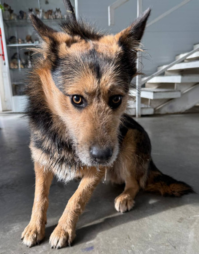 Иркутск 1018/24