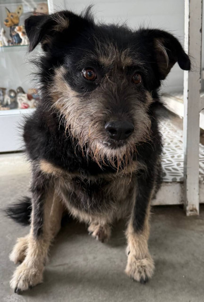 Иркутск 1019/24