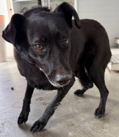 Иркутск 1020/24