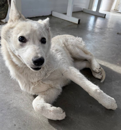 Иркутск 1021/24