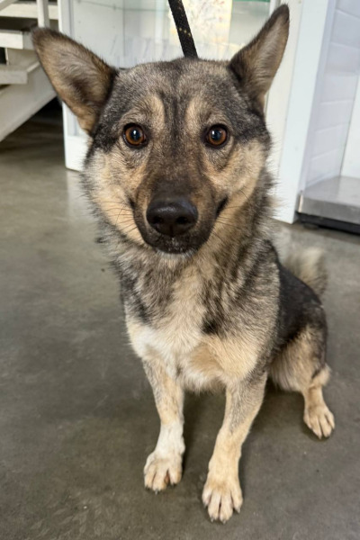 Иркутск 1022/24