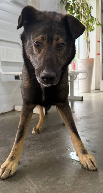 Иркутск 1023/24