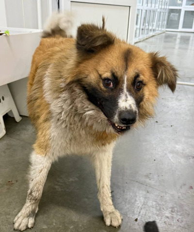 Иркутск 1026/24