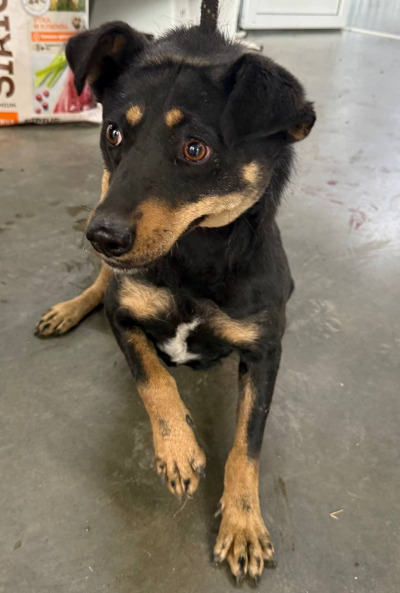 Иркутск 1027/24