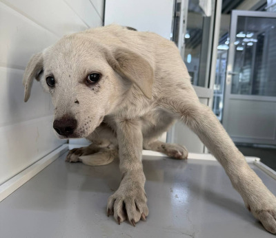 Иркутск 1030/25