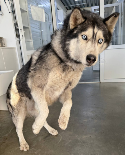 Иркутск 1037/25