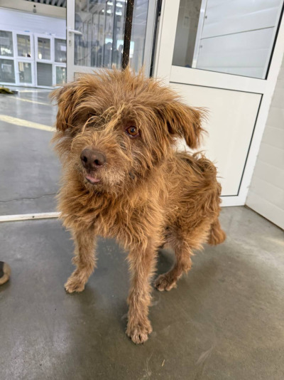 Иркутск 1038/25