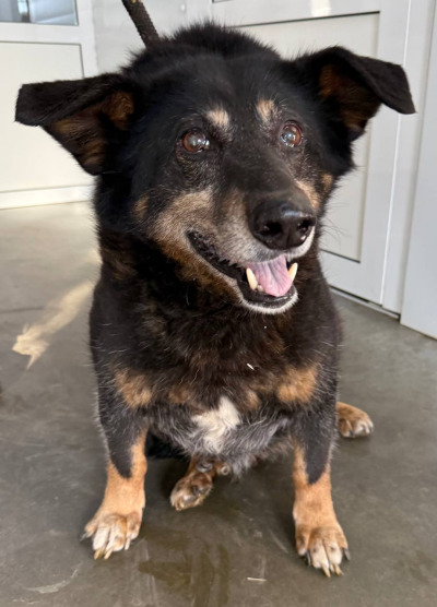 Иркутск 1039/25