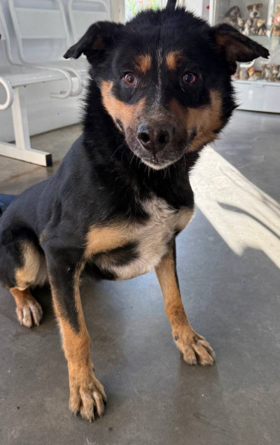 Иркутск 1041/25