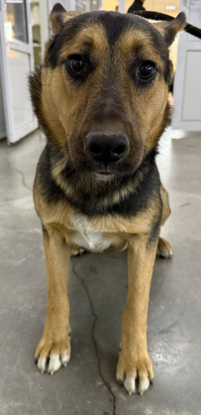 Иркутск 1047/25