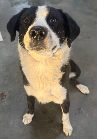 Иркутск 1049/25