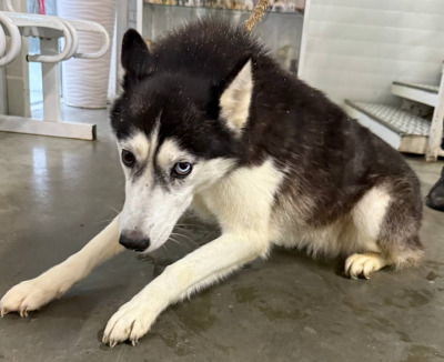 Иркутск 1055/25