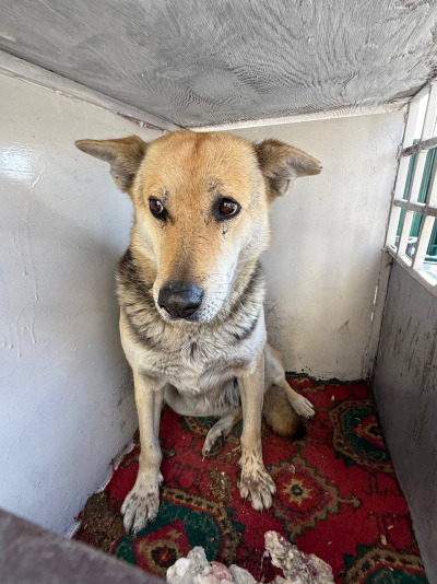 Иркутск 1057/25