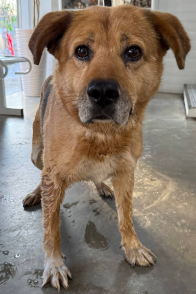 Иркутск 1062/25