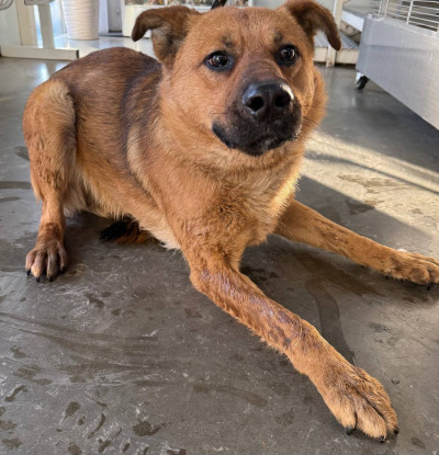 Иркутск 1063/25