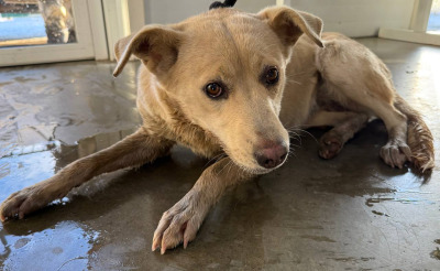 Иркутск 1064/25