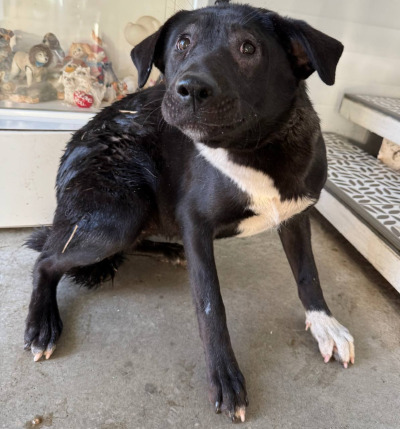 Иркутск 1065/25