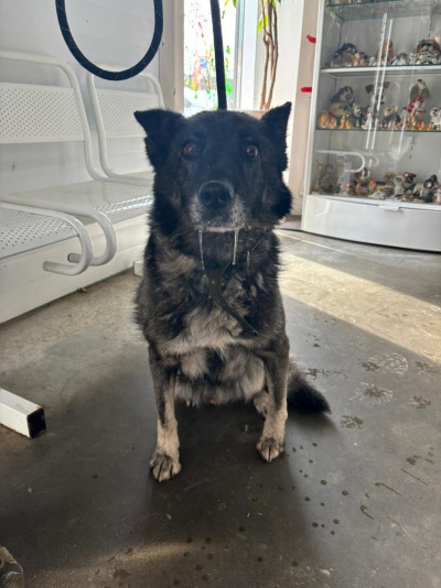 Иркутск 1066/25