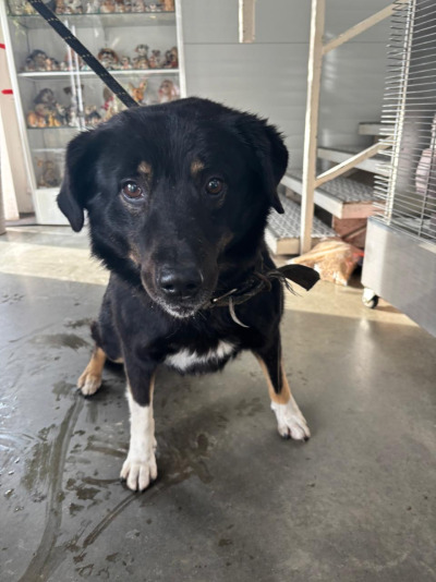 Иркутск 1067/25