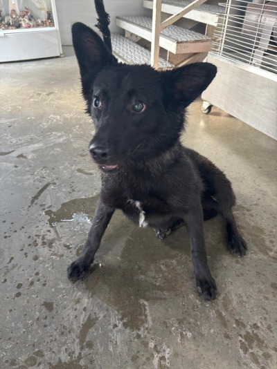 Иркутск 1070/25