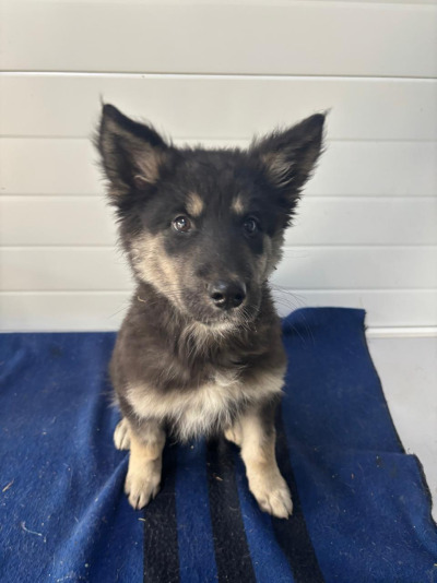 Иркутск 1072/25