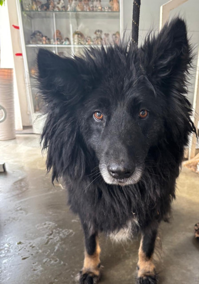 Иркутск 1074/25