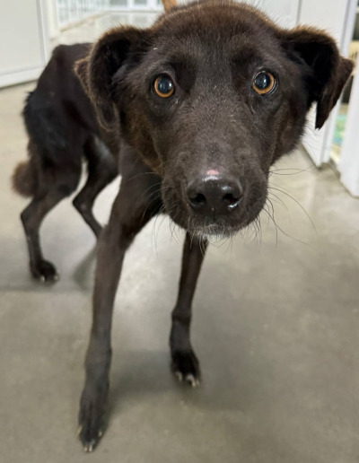 Иркутск 1076/25