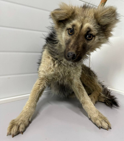 Иркутск 1077/25