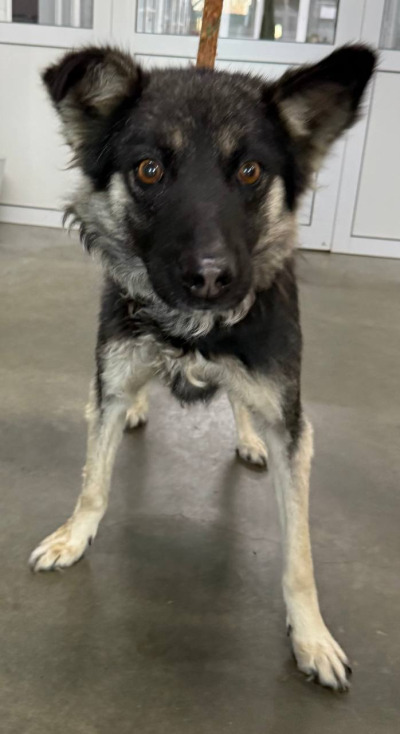 Иркутск 1078/25