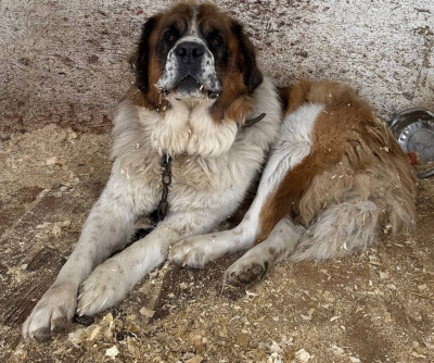 Иркутск 1080\25