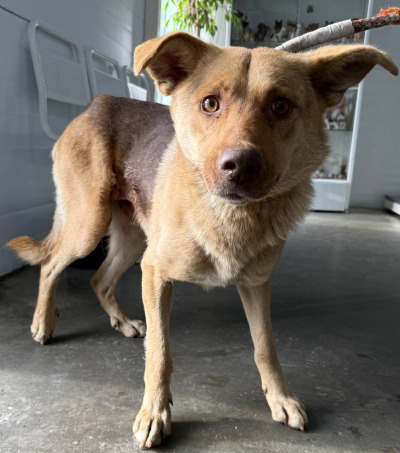 Иркутск 1082\25