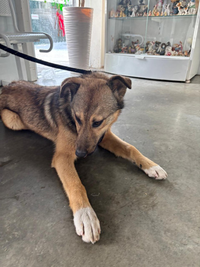 Иркутск 1084/25