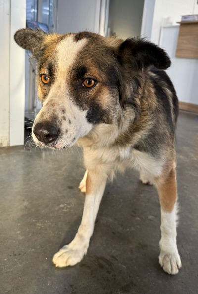 Усолье-Сибирское 3/25