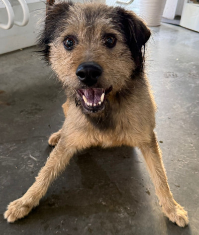 Усолье-Сибирское 4/25