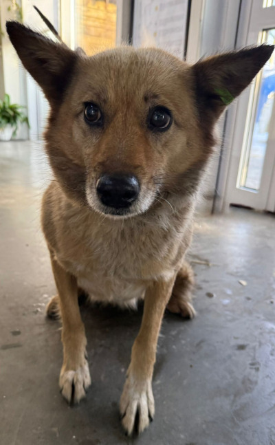 Усолье-Сибирское 8/25